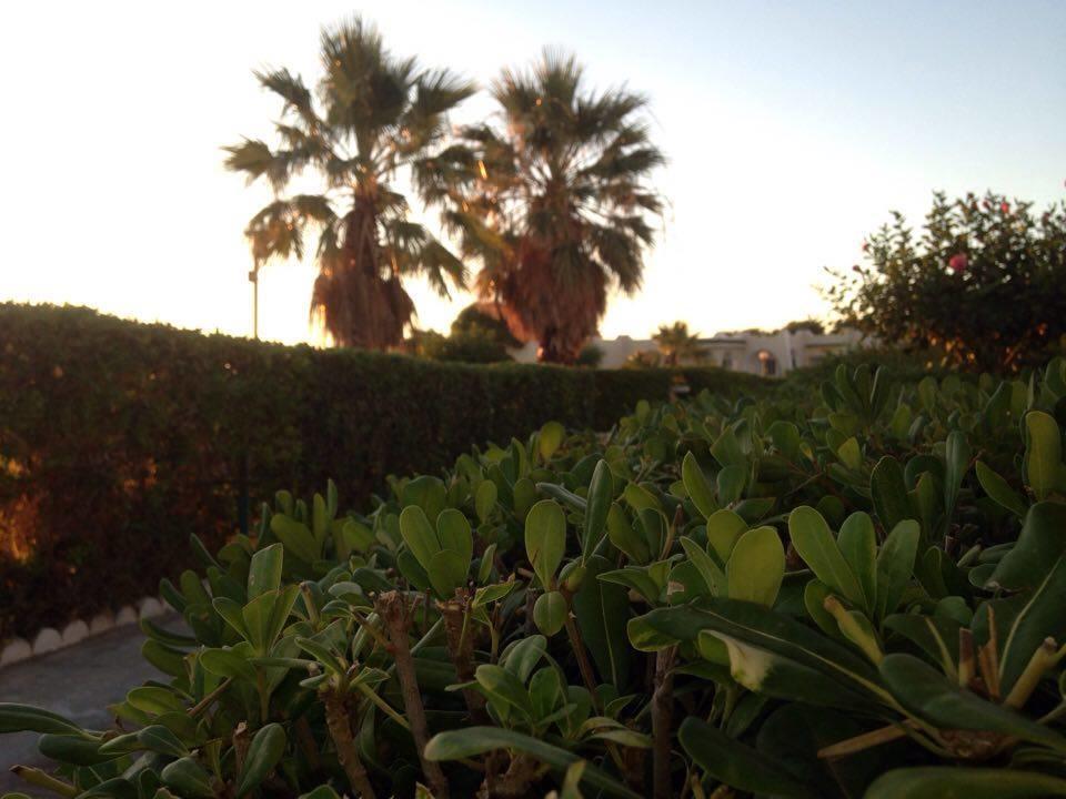 Complexe Touristique Sidi Salem Hotel Bizerte Exterior photo